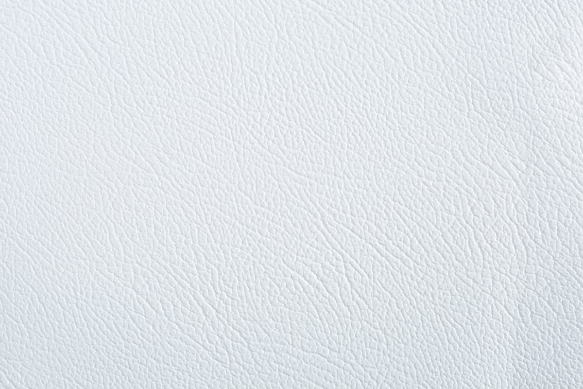 color-en-05-white