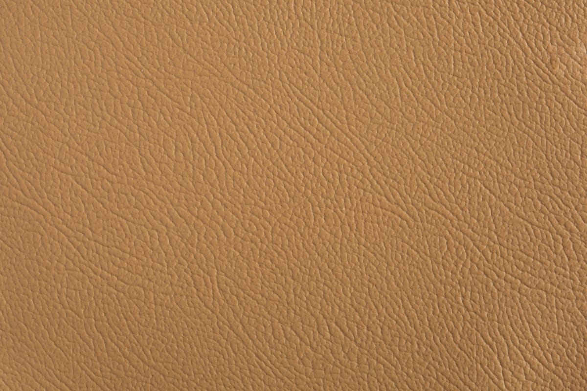 color-en-08-camel