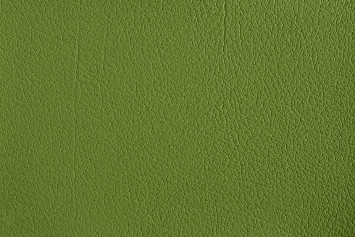 color-en-25-olive