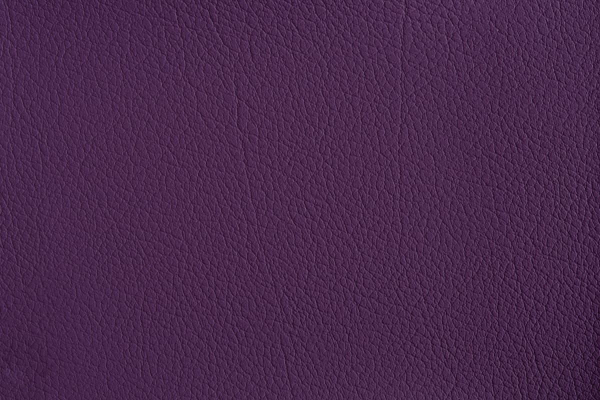 color-en-26-violet