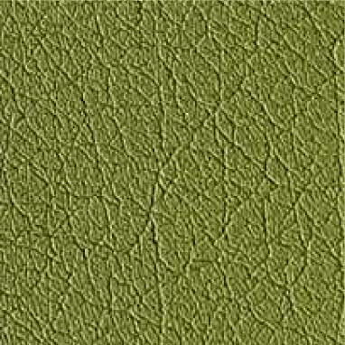 color-en-moss