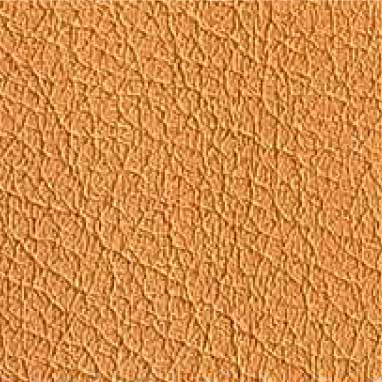 color-en-moztaza