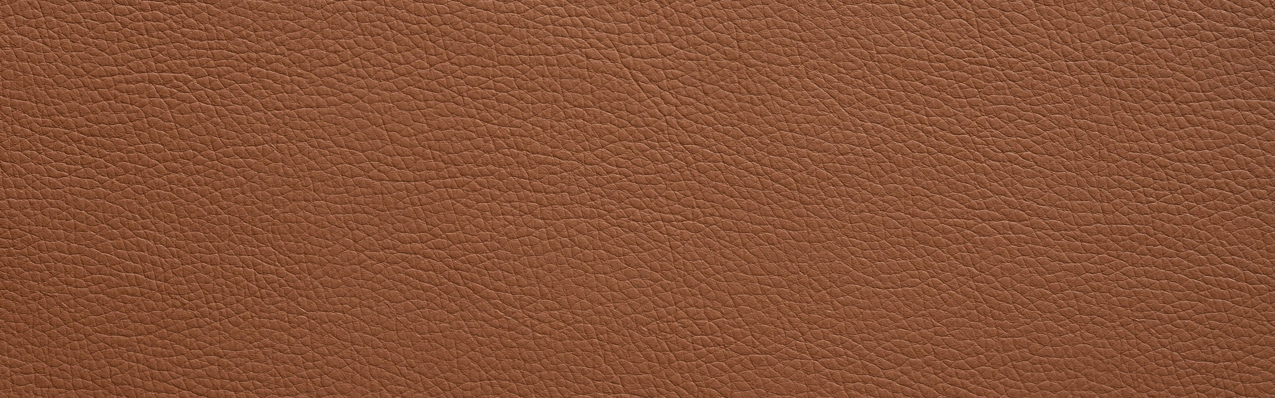 color-en-smooth-brown-06