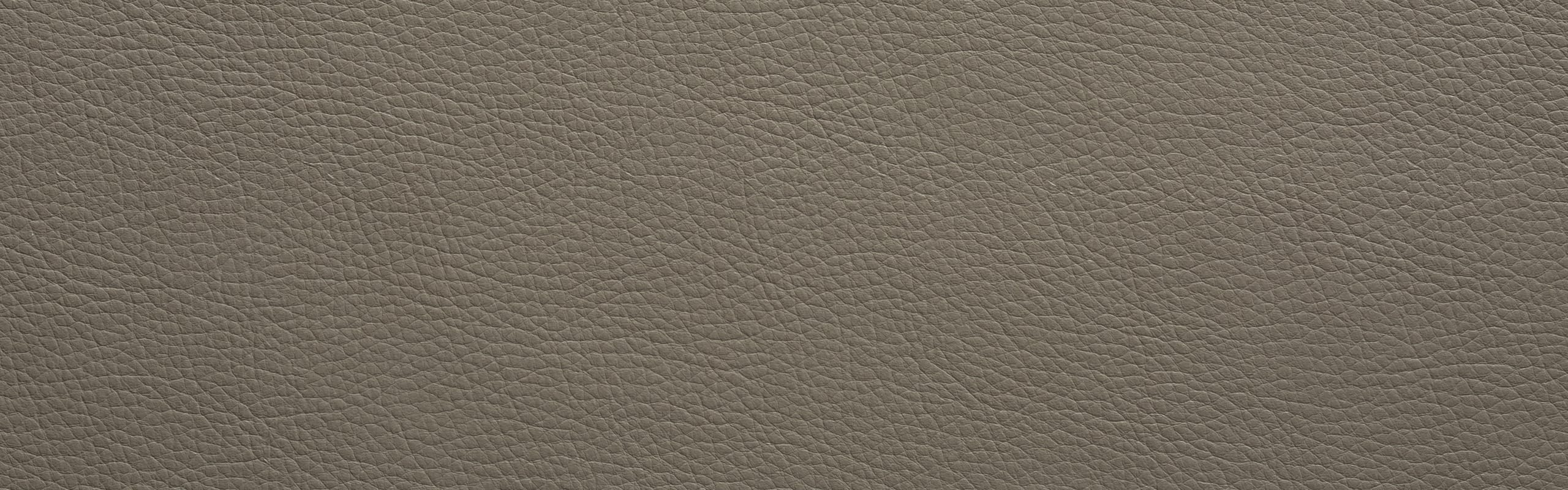 color-en-smooth-dark-grey-12