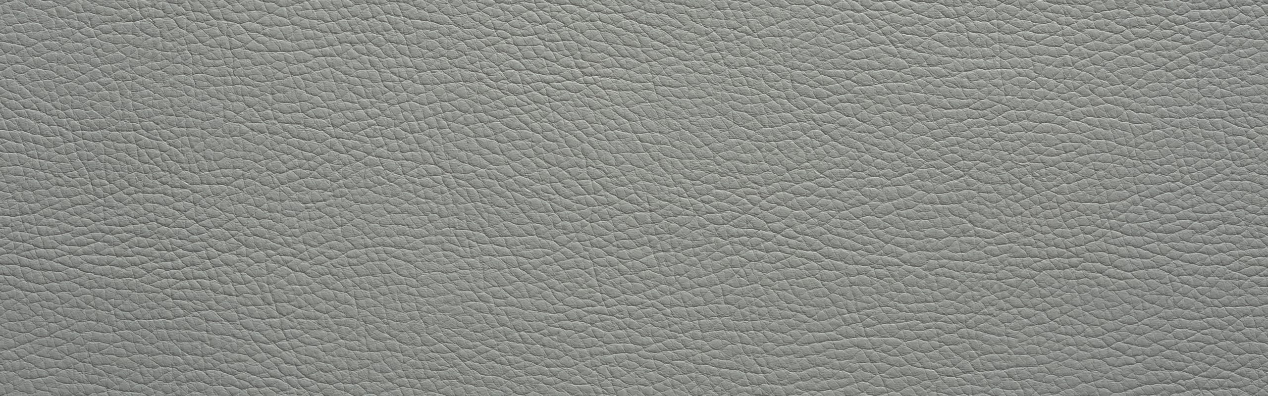 color-en-smooth-gray-11