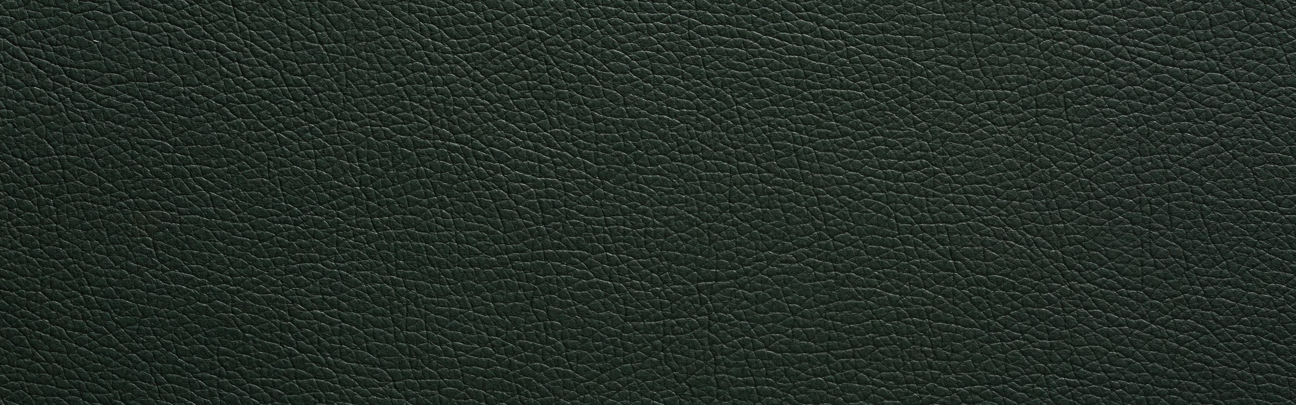 color-en-smooth-green-16