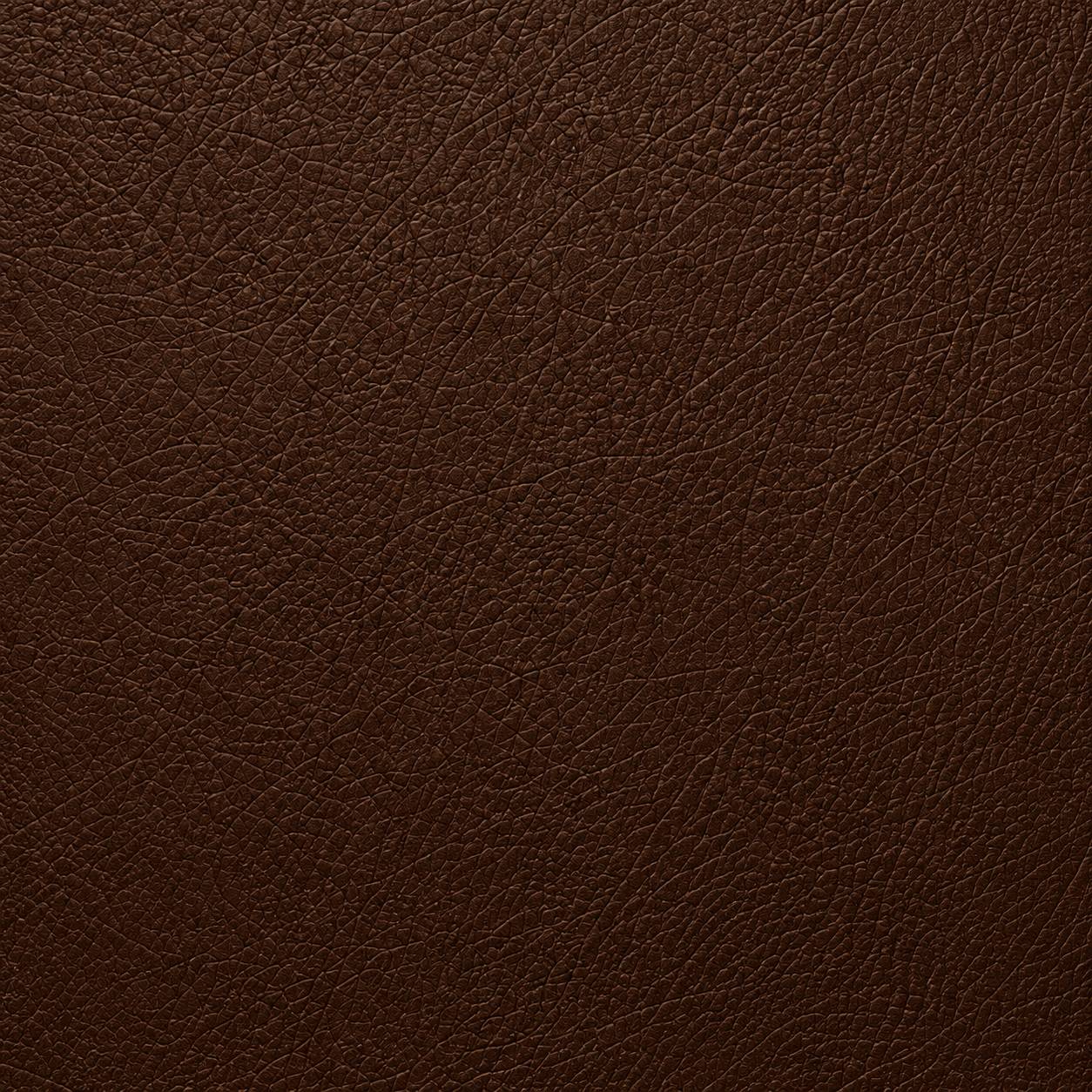 urban-chocolate