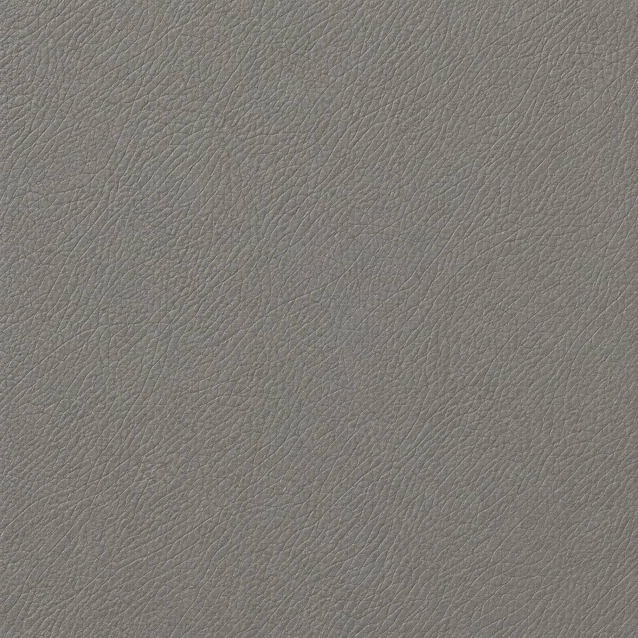 urban-gris